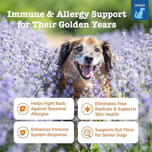 Zesty Paws Dog Allergy Relief - Anti Itch Supplement - Omega 3 Probiotics for Dogs - Stop Paw Licking - Soft Chews for Skin Health & Seasonal Allergies - with Epicor Pets - Senior - Salmon - 90 Count