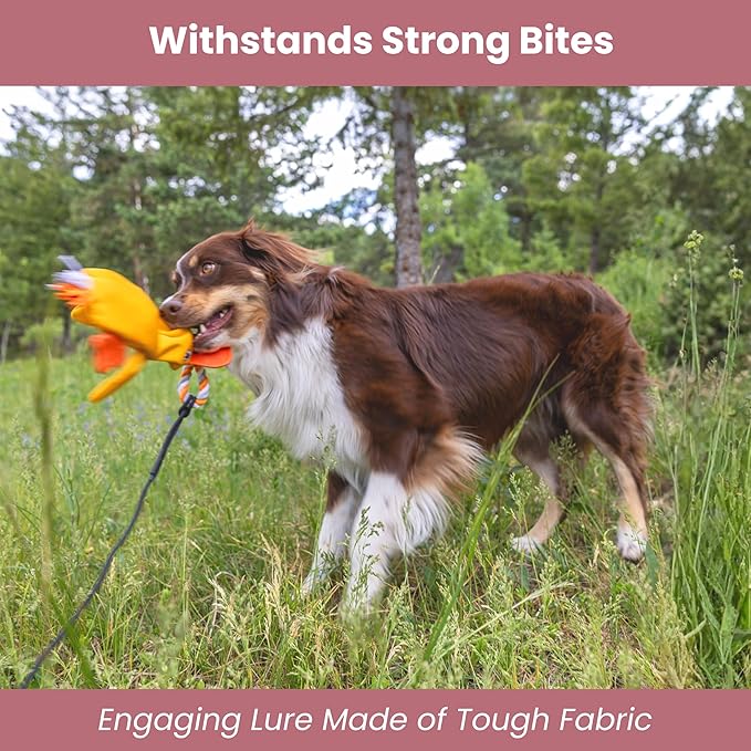 Flirt Pole for Dogs Heavy Duty - Multi-Sensory Tough Chase Toy for Medium & Large Breeds – Extra Strong 35" Dog Teaser Wand for Backyard Play, Training and Interactive Fun (Duck)