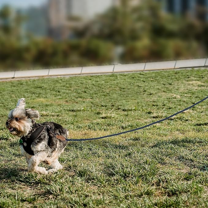 Mile High Life Dog Leash, Braided Cotton Rope Leashes with Leather Tip - Heavy Duty Metal Clasp, 4FT, 1/3" Thick - Wedding, Walking Leash for Small Medium Puppy(Navy)
