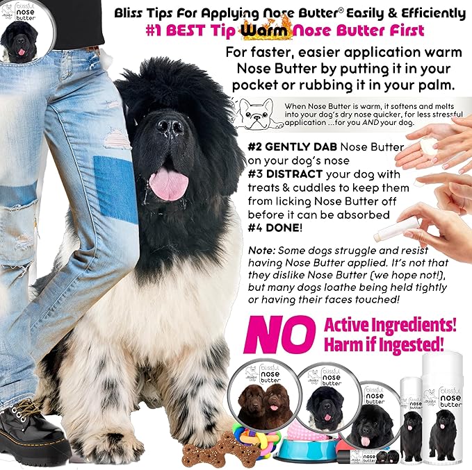 The Blissful Dog Newfoundland Unscented Nose Butter - Dog Nose Butter, 16 Ounce