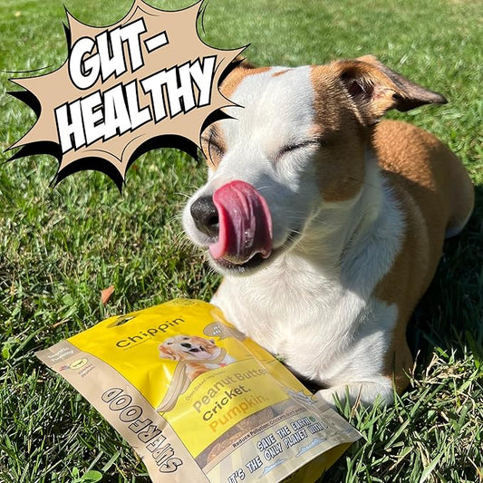 Chippin Chicken-Free, Peanut Butter Dog Treats – Sensitive Stomach & Allergy-Friendly, Puppy Training Treats, Healthy & Natural Christmas Treats for All Dogs, Sustainable Cricket Protein