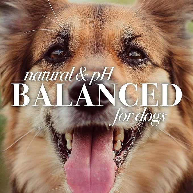 Burt's Bees for Pets Naturally Derived Oatmeal Conditioner with Colloidal Oat Flour & Honey - Dog Oatmeal Shampoo - Cruelty Free, Made in The USA - 10 Oz - 6 Pack