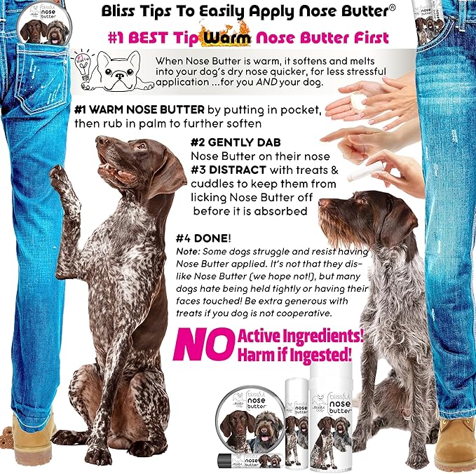 The Blissful Dog German Shorthaired Pointer Unscented Nose Butter, 0.50-Ounce